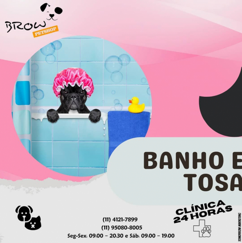 Banho e Tosa para Cachorro Parque Anchieta - Banho e Tosa Próximo a Mim