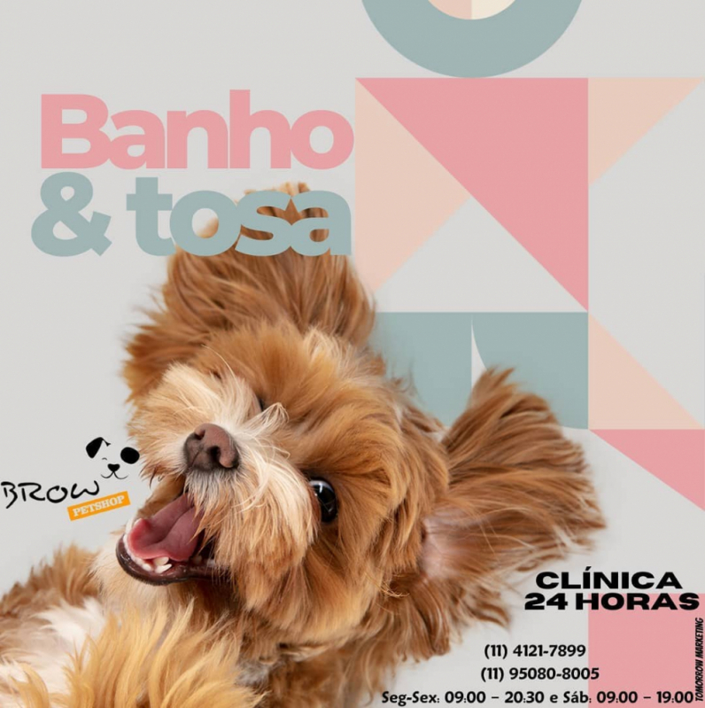 Banho e Tosa Pet Shop Vila Duzzi - Banho e Tosa Diadema