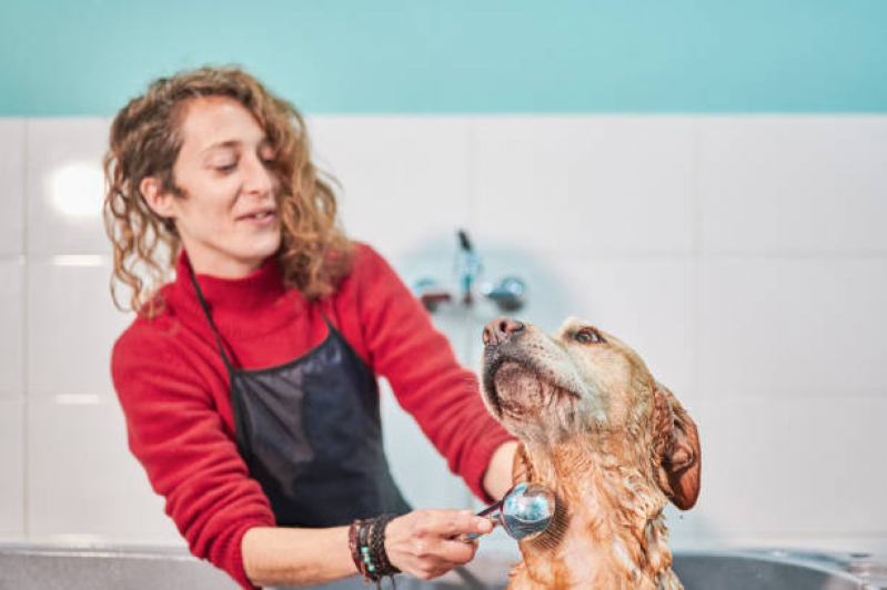 Banho para Cachorro Terapêutico Valores Vila Dayse - Banho Terapêutico para Cães