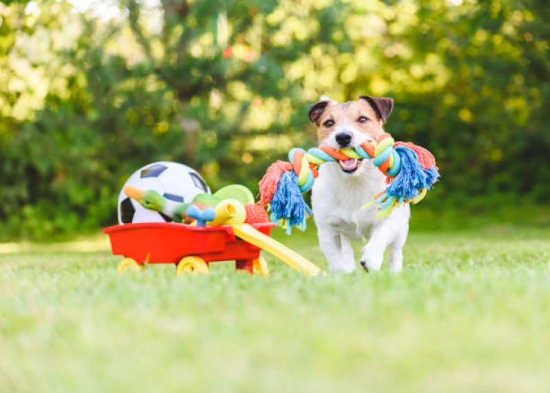 Brinquedo de Corda para Cachorro Parque Represa Billings II - Brinquedo para Cachorro