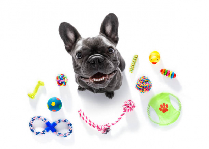 Brinquedo Interativo para Cachorro Valor Rio Pequeno - Brinquedo para Cachorro São Bernardo do Campo