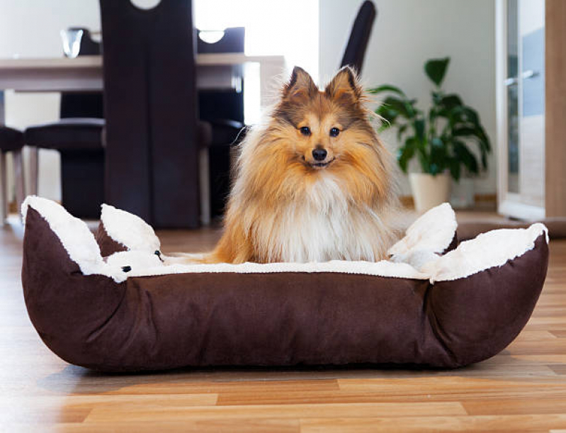 Cama Pet Cão Araçaúva - Cama Relaxante para Cachorros