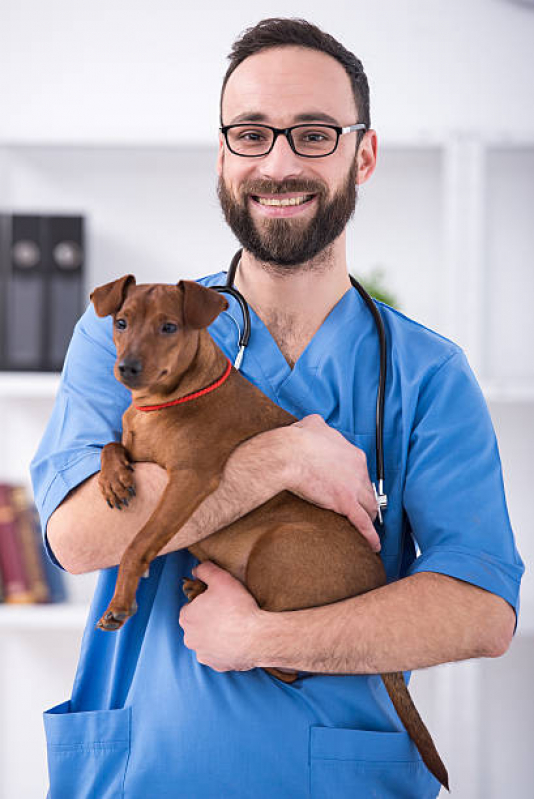 Clínica Veterinária 24 Horas Vila Alice - Clínica Veterinária para Cães e Gatos