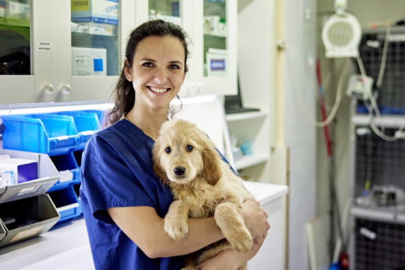 Clínica Veterinária Mais Perto de Mim Cerâmica - Clínica Veterinária para Cães e Gatos