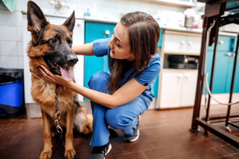 Clínica Veterinária Mais Próxima Contato Jardim Las Vegas - Clínica Veterinária para Cães e Gatos