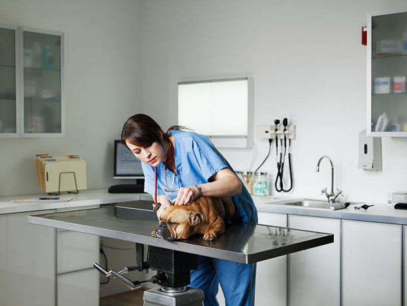 Clínica Veterinária Mais Próximo de Mim Anchieta - Clínica Veterinária para Cães e Gatos