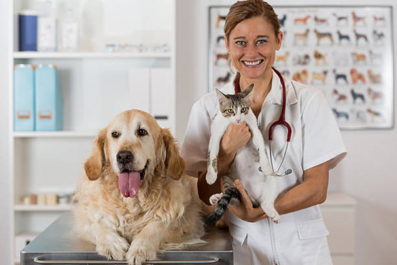 Clínica Veterinária para Cães e Gatos Contato Santa Teresinha - Clínica Veterinária 24 Horas Diadema