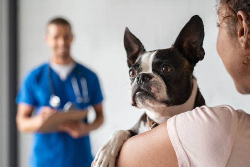 Clínica Veterinária Pet Contato Vila Scarpelli - Clínica Veterinária Mais Próximo de Mim