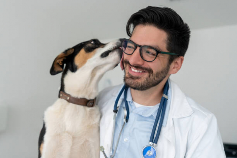 Clínica Veterinária Pet Recreio da Borda do Campo - Clínica Veterinária para Cães e Gatos