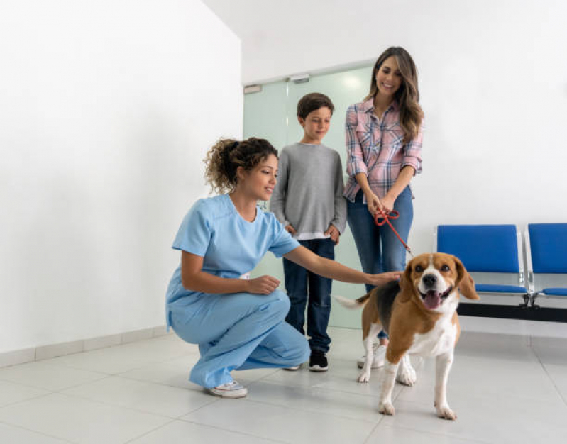 Clínica Veterinária Próximo de Mim Cata Preta - Clínica Veterinária para Cães e Gatos