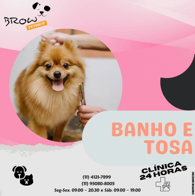 Contato de Banho e Tosa para Cachorro SÃO BERNARDO DO CAMPO - Pet Shop Perto de Mim Banho e Tosa