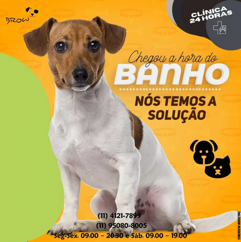 Contato de Banho e Tosa Vila Homero Thon - Banho e Tosa para Cachorro