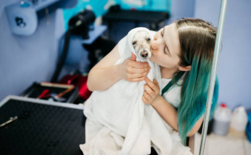 Onde Tem Banho Terapêutico Animal Vila Vitória - Banho Terapêutico para Cachorros