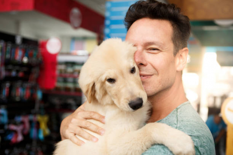 Pet Shop Próximo Vila Lutécia - Pet Shop Perto de Mim