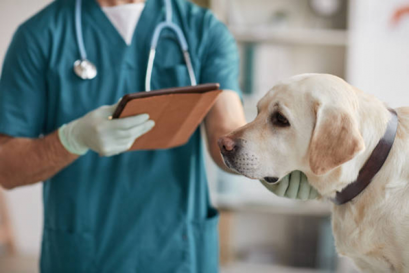 Telefone de Clínica Veterinária Perto de Mim Oswaldo Cruz - Clínica Veterinária para Cães e Gatos