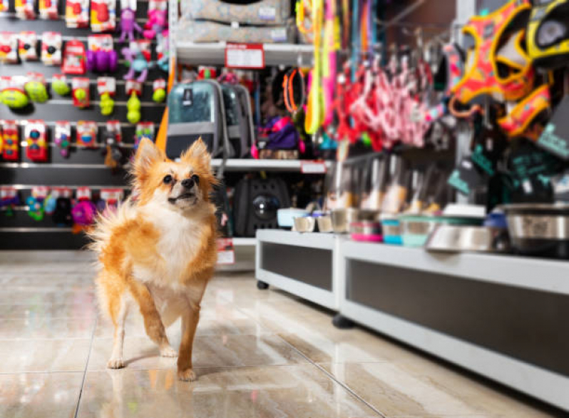 Telefone de Pet Shop para Animais Industrial - Pet Shop Gatos