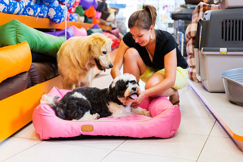 Telefone de Pet Shop para Cachorros Vila Tibiriçá - Pet Shop Banho
