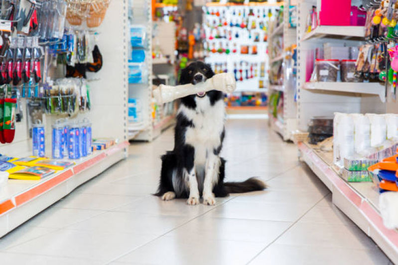 Telefone de Pet Shop Próximo Polo Petroquímico de Capuava - Pet Shop para Animais