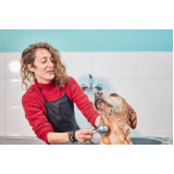 banho para cachorro terapêutico valores Jardim Santa Cristina