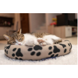 cama para gatos preço Campo Grande