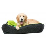 cama relaxante para cachorros preço Araçaúva