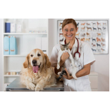 clínica veterinária para cães e gatos contato Santo Antônio