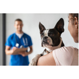 clínica veterinária pet contato Cidade São Jorge