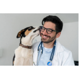 clínica veterinária pet Recreio da Borda do Campo