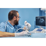 exame de ultrassom cachorro preço Ipanema