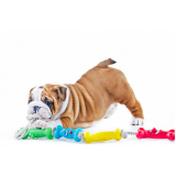 preço de brinquedo mordedor cachorro Parque Represa Billings II