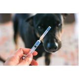vacina antirrábica canina preço Jardim Irajá