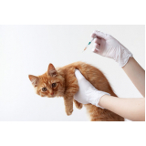 vacina antirrábica gato preço Vila Vivaldi