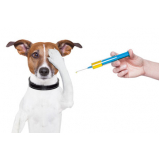 vacina contra raiva para cachorro preço Jardim Alvorada