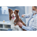 vacina contra raiva para cachorro Parque Capuava