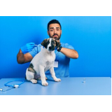 vacina para filhote de cachorro preço Vila Guiomar