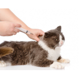 vacina para gato Recreio da Borda do Campo