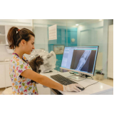 valor de exame de raio x para animais Cidade São Jorge