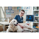 valor de exame de ultrassom abdominal para cachorro Vila Curuçá