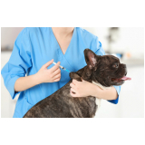valor de vacina antirrábica cachorro Vila Lutécia