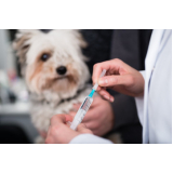 valor de vacina cachorro filhote Jardim Irene