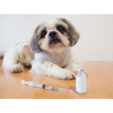 valor de vacina contra raiva para cachorro Santa Terezinha