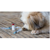valor de vacina de gripe para cachorro Jardim Laura