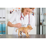 valor de vacina para cachorro filhote Três Divisas