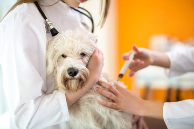 Vacina Cachorro Filhote Preço Vila Lutécia - Vacina da Raiva Cachorro