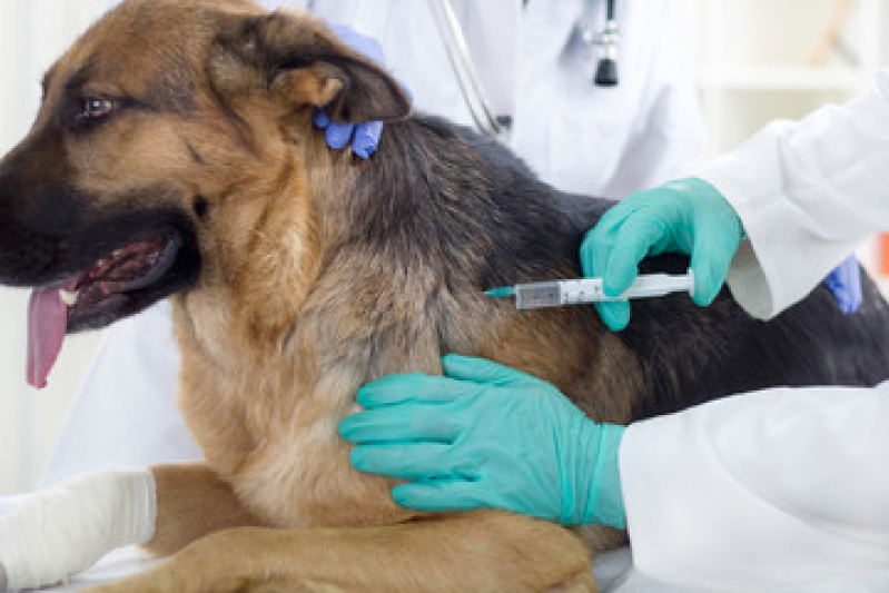 Vacina Cachorro Filhote Rio Bonito - Vacina contra Raiva para Cachorro