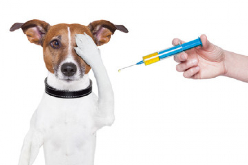 Vacina contra Raiva para Cachorro Preço Jardim Stella - Vacina de Gripe para Cachorro