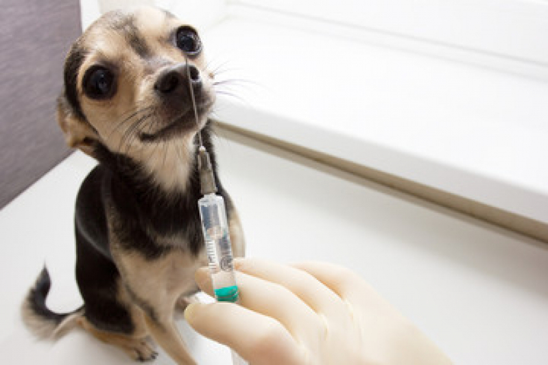 Vacina de Gripe para Cachorro Preço Barcelona - Vacina para Cachorro São Bernardo do Campo