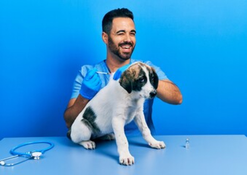 Vacina para Cachorro Filhote Preço Vila Luzita - Vacina para Cachorro