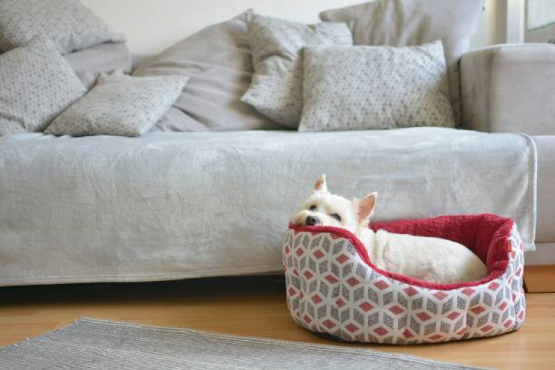 Valor de Cama Relax para Pet Independência - Cama Relaxante para Cachorros