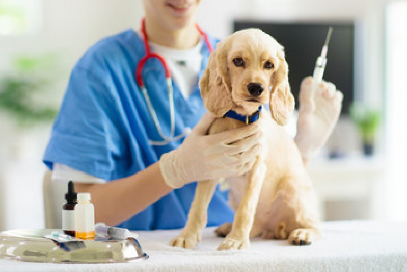 Valor de Vacina para Cachorro Jardim Santo Alberto - Vacina para Cachorro